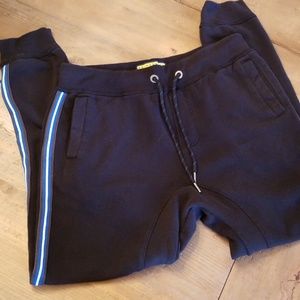 Prince and fox jogger